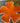 Hand-Painted Retro Orange Flower Bowl – Random House Summerware
