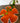 Hand-Painted Retro Orange Flower Bowl – Random House Summerware